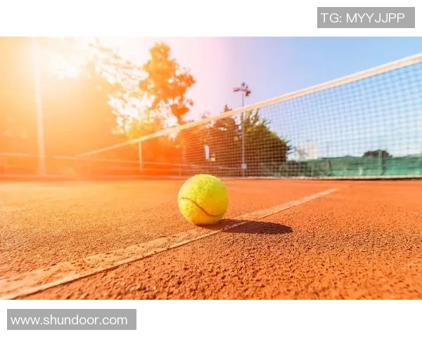 上海网球队防守体系解析与网球战术的深度探讨