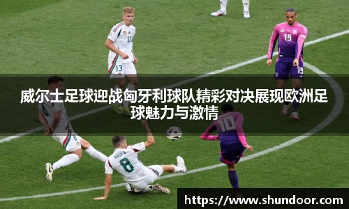 乐天堂平台